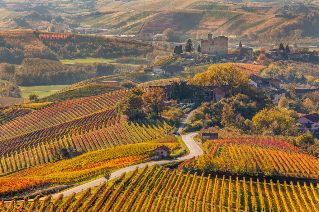 Taxi nelle Langhe
